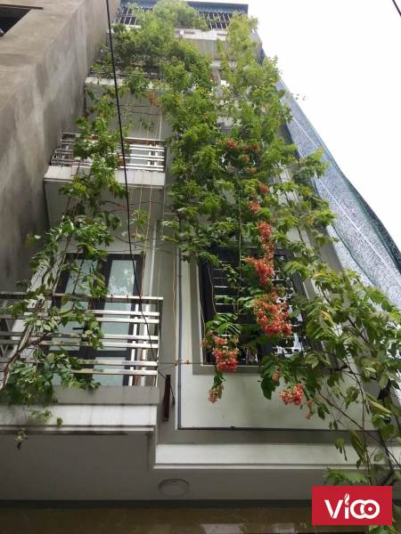 Bán nhà phố Giáp Nhị 45m2x 5tầng25m ra phố chỉ hơn 3 tỷfull nội thấtngõ rộng 3m.