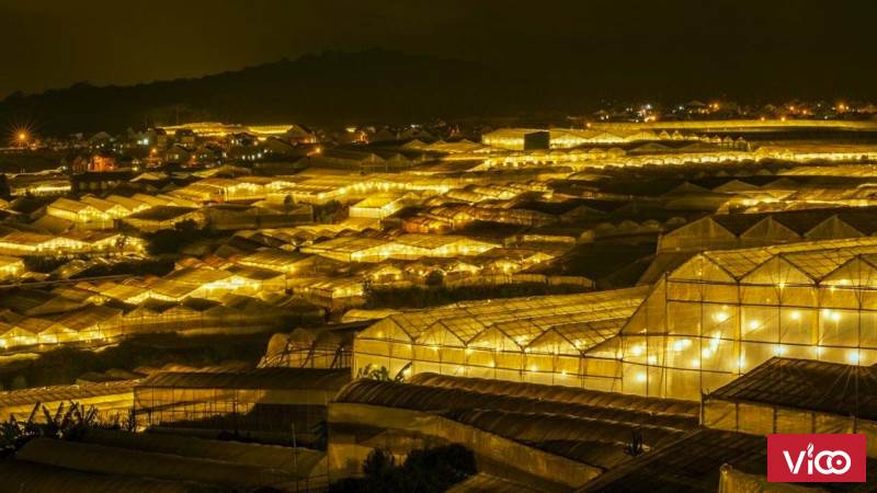 Phường 12 có một chiếc view cực đẹp !!