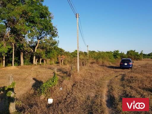 Bán đất vàng giá rẻ đầu tư gần Cao tốc, xã Hồng Thái, Bình Thuận.