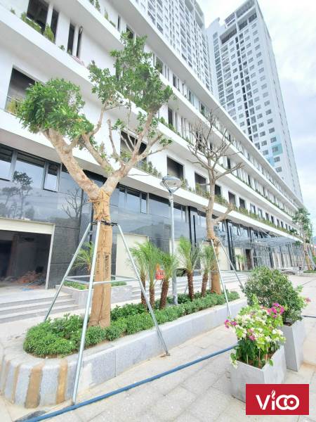 Thời điểm vàng để sở hữu Căn hộ đẹp nhất Quy Nhơn, chỉ 350 triệu vào ở ngay