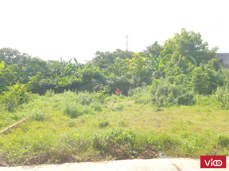 Bán đất tiềm năng kinh tế cao đường 55 Hương Lộ 2, xã Hòa Long, TP Bà Rịa