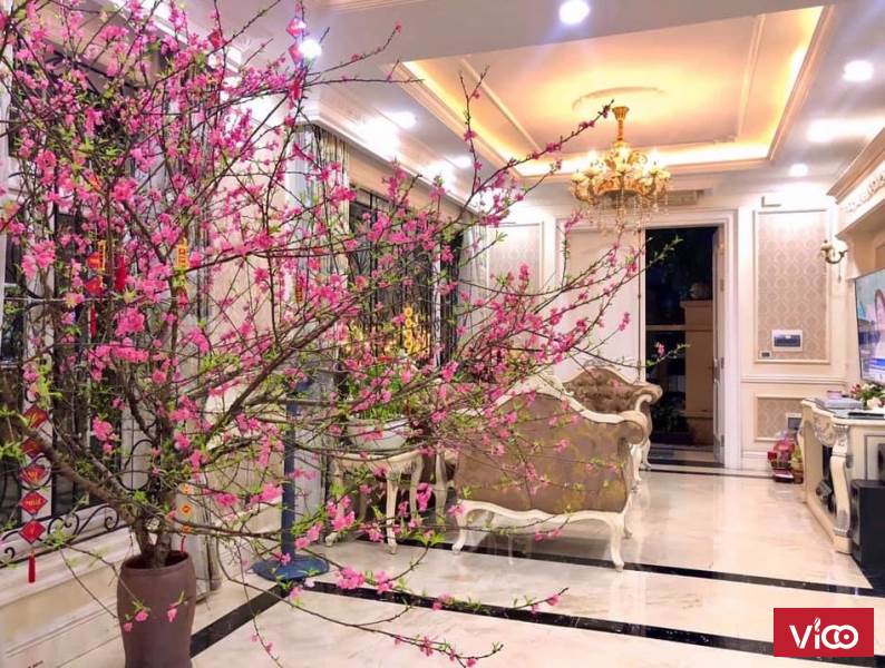 Bán Gấp! Nhà 8 Tầng,Thang Máy Mặt Phố Trung Liệt,Diện Tích 111m. Doanh thu 100tr/Tháng. Giá 27,5 Tỷ