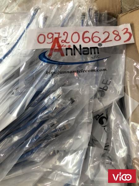 Dây nhảy patch cord Cat6 U/UTP, RJ45, 4 Pair, NonPlenum, Blue, 2FT