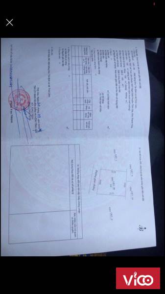 CẦN TIỀN BÁN GẤP LÔ ĐẤT TĐC TRÚC LÂM, TX NGHI SƠN, THANH HÓA