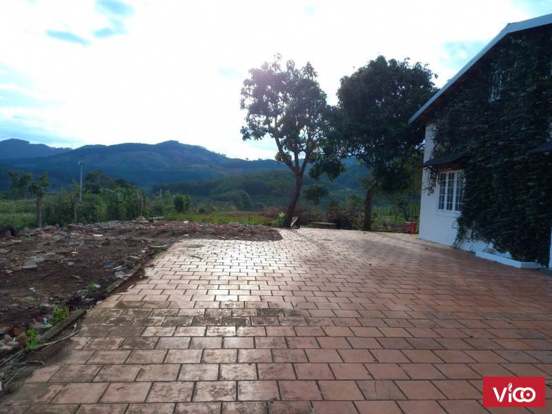 BÁN ĐẤT XÂY DỰNG SÔ RIÊNG TÀ NUNG ĐÀ LẠT NGĂM VIEW THUNG LŨNG 0988623909