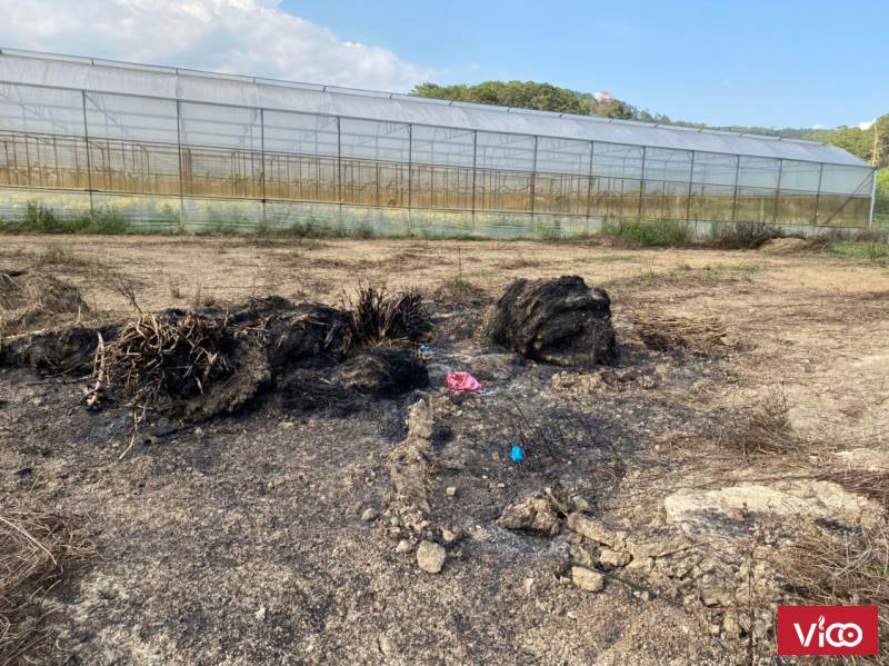 Bán lô đất sổ riêng nông nghiệp đèo mimosaĐà Lạt, 500m2 giá 1tỷ7 thương lượng