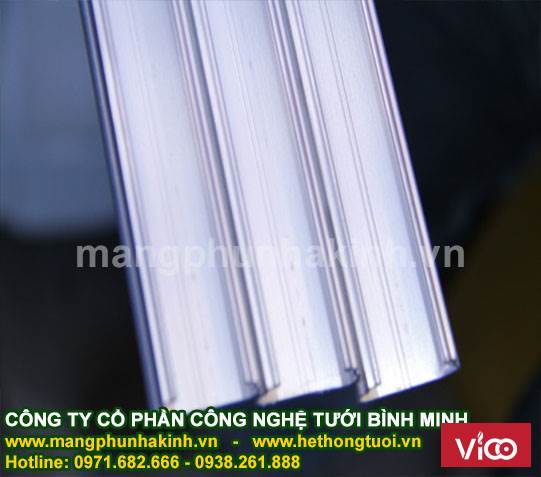 Trồng dưa lưới trong nhà kính ở đồng bằng sông Cửu Long
