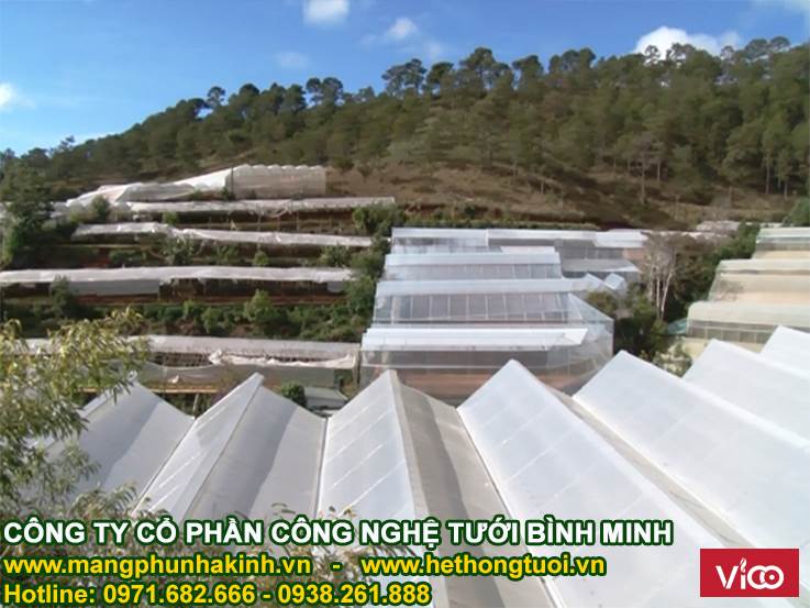Mô hình nhà lưới trồng cây công nghệ cao trong nông nghiệp hiện đại