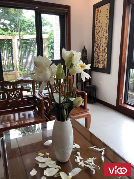 Chính chủ bán biệt thự Việt Hưng Xa Hoa, sang trọng 234m2 28 tỷ
