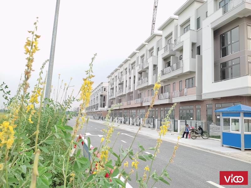 Bán căn ShopHouse Diamond rộng thoáng mặt đường to giá như con kiến. Số lượng có giới hạn
