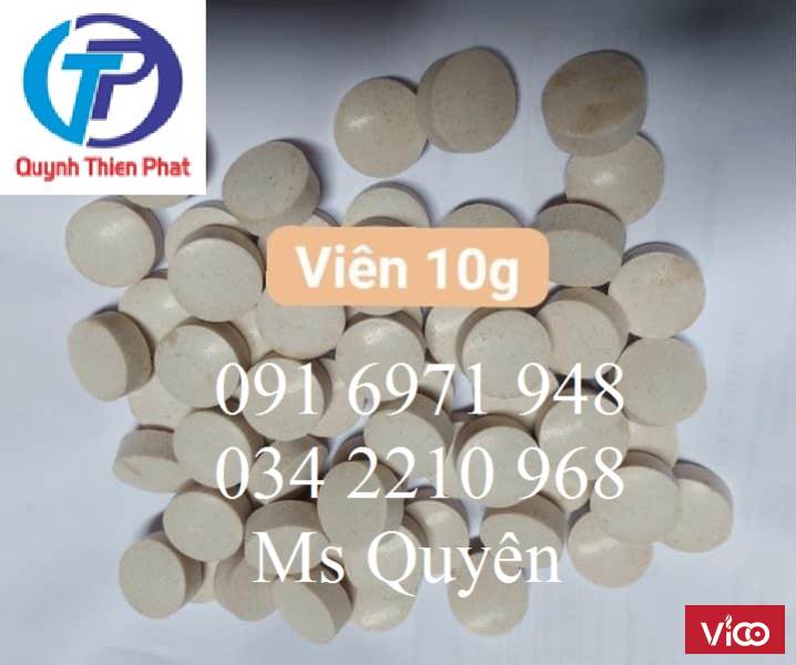 Men vi sinh dạng viên 2g, viên 10g xử lý nước ao xô 10kg của Mỹ giá sỉ