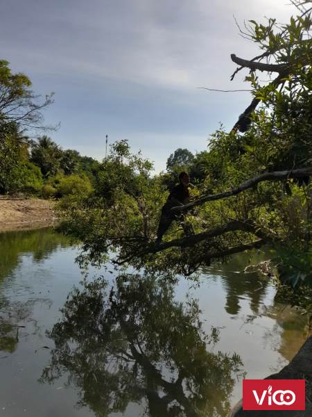 Bán nhà mặt tiền có vườn trái cây sinh thái tuyệt đẹp tại Đường Quốc Lộ 20, Xã Hà Lâm, Đạ Huoai,
