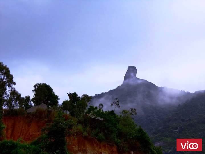 Bán nhà mặt tiền có vườn trái cây sinh thái tuyệt đẹp tại Đường Quốc Lộ 20, Xã Hà Lâm, Đạ Huoai,