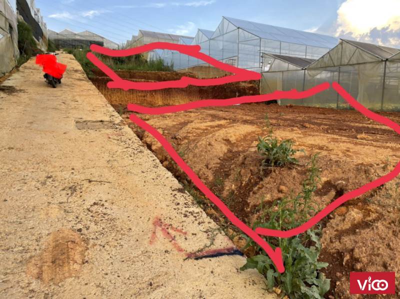 Cần bán lô đất đẹp tại Đường Nguyễn Hữu Cầu, P.12, Tp.Đà Lạt, giá đầu tư