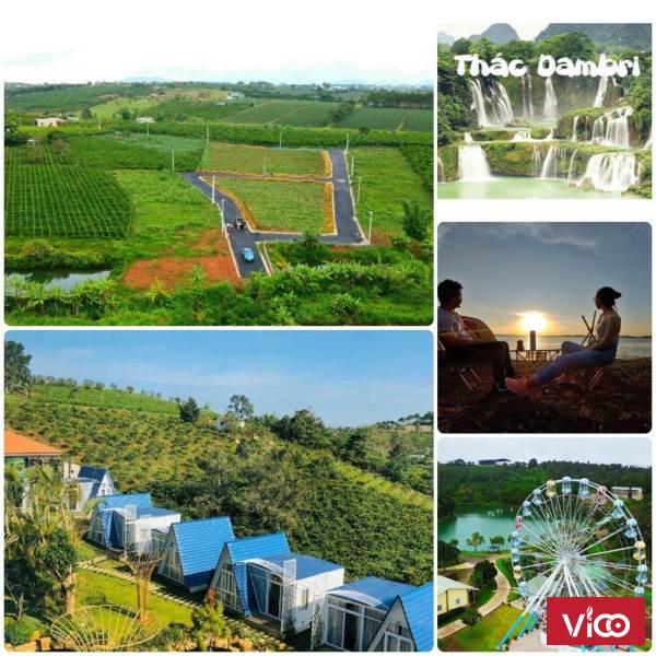 KDC MIMOSA GARDEN trao tay 63 cơ hội đầu tư dẫn đầu trào lưu bất động sản năm 2021.