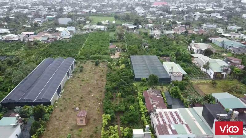 Đất 15x40m2 Hẻm Lê Phụng Hiểu P Lộc Tiến TP Bảo Lộc T Lâm Dồng
