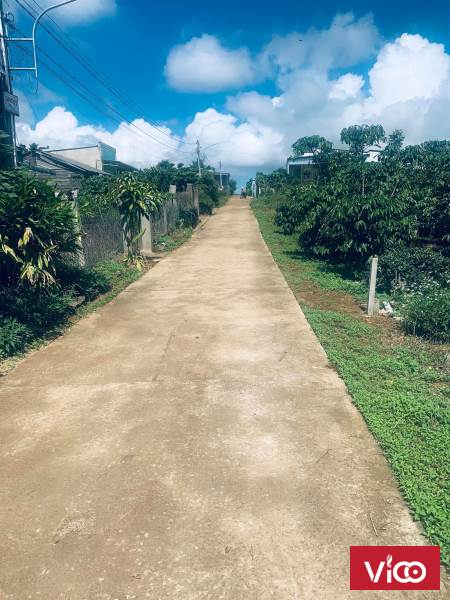 Đất 10x50m2 Hẻm Lê Phụng Hiểu P Lộc Tiến Bảo Lộc Lâm Đồng