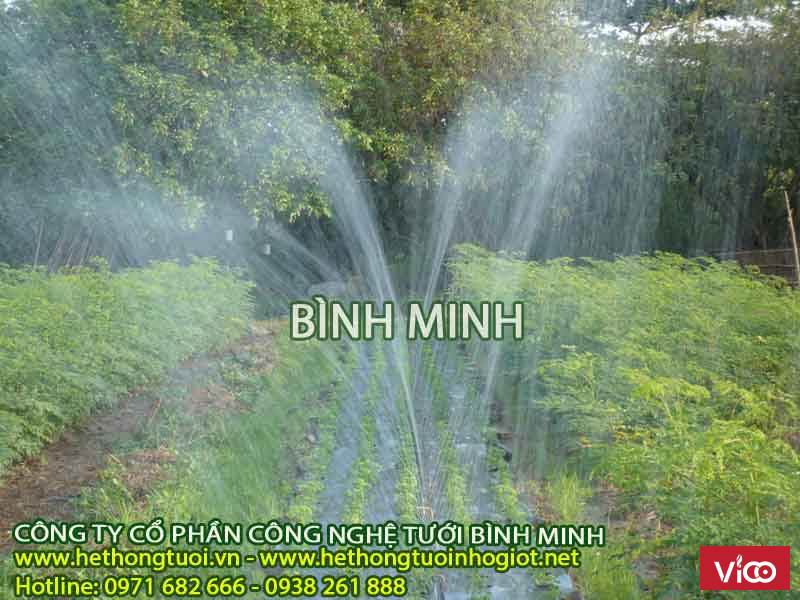 vòi phun nông nghiệp, tưới nông nghiệp, béc tưới nông nghiệp, béc tưới rau, hệ thống tưới phun mưa