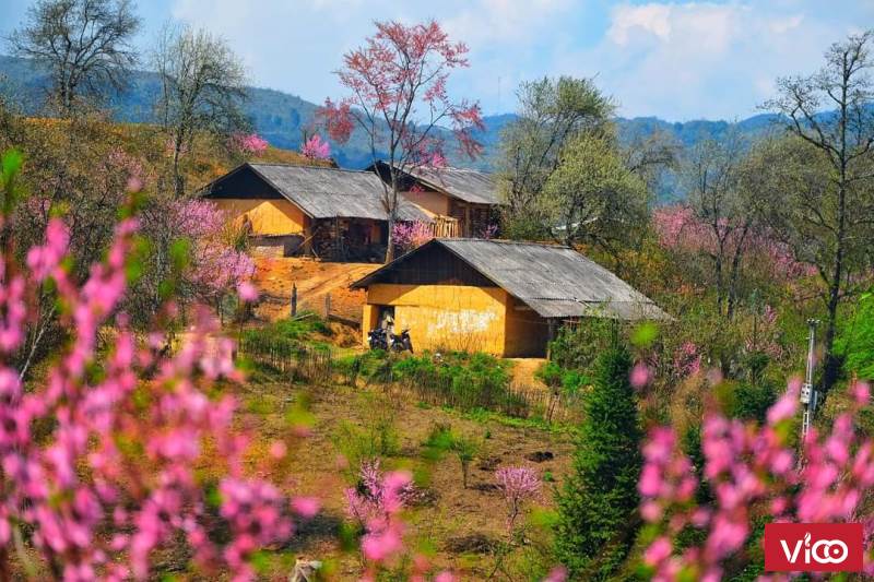 Cần bán gấp mảnh đất giá rẻ mùa dịch thôn Phan Cán Sử, Y Tý, Lào Cai