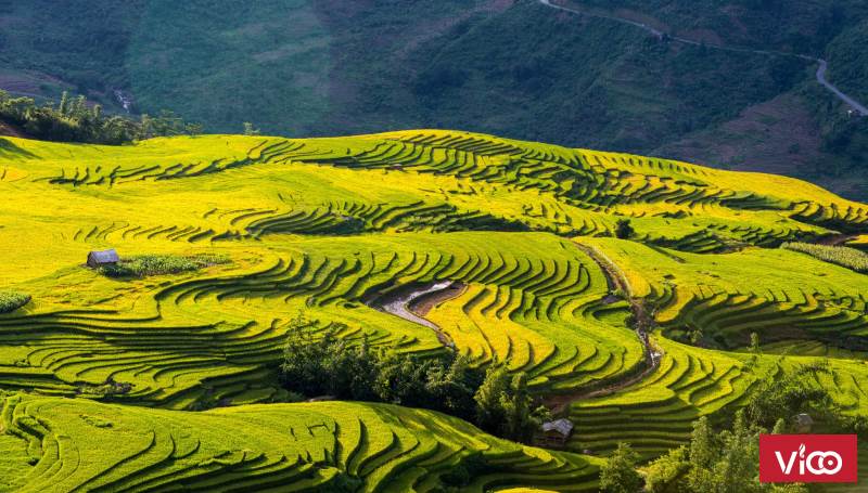 Bán mảnh đất trung tâm view ruộng bậc thang đẹp nhất Y Tý SaPa 2