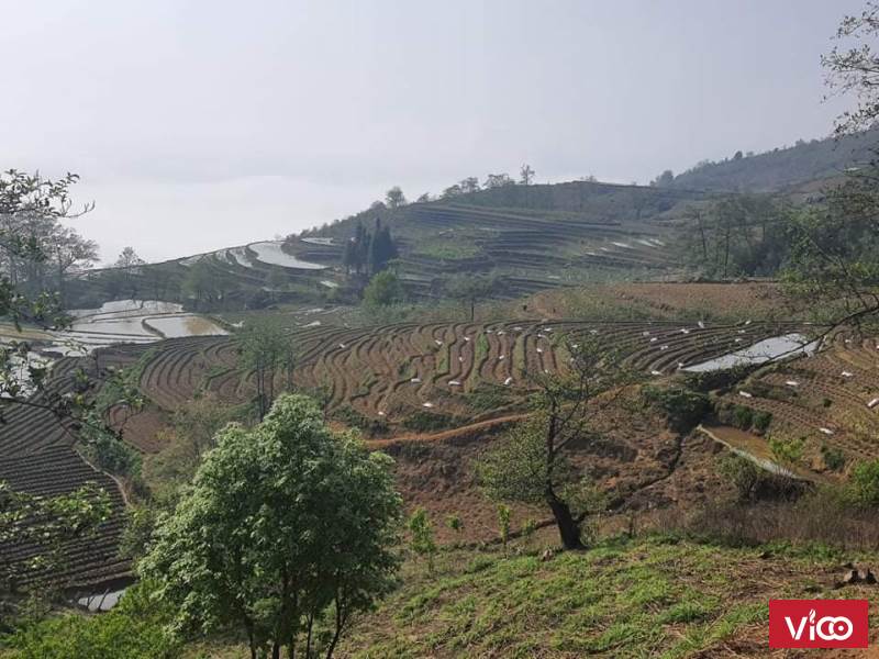 Đón đầu sóng quy hoạch 1/2000 tại điểm săn mây đẹp nhất Sapa 2