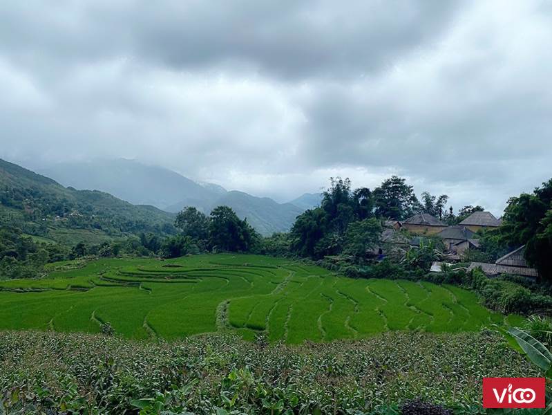 Mảnh đất duy nhất tại Y Tý (Sapa 2) đã có sổ và thổ cư, view lại mê ly cho khách xây nhà nghỉ,