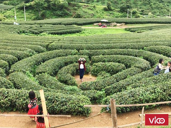 Bán mảnh đất TK nông trường thị trấn mộc châu vô cùng đẹp giá đầu tư