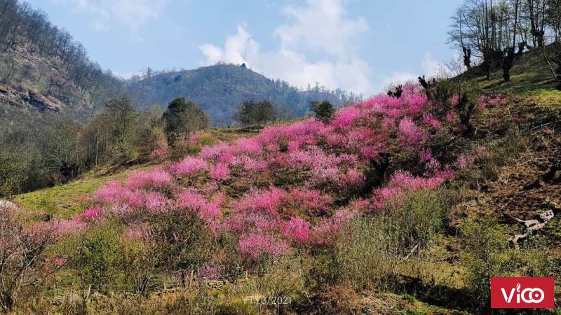 Cần bán cắt lỗ mảnh đất thôn Phìn Hồ,Y Tý, Bát Xát, Lào Cai
