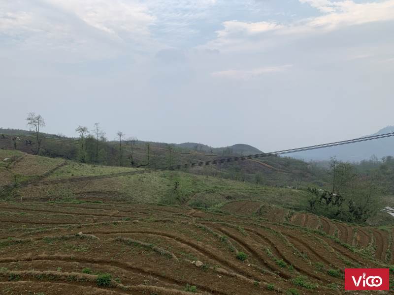 Bán mảnh đất có sổ Hồng view ruộng bậc thang phù hợp xây khách sạn ở SaPa 2 Y Tý