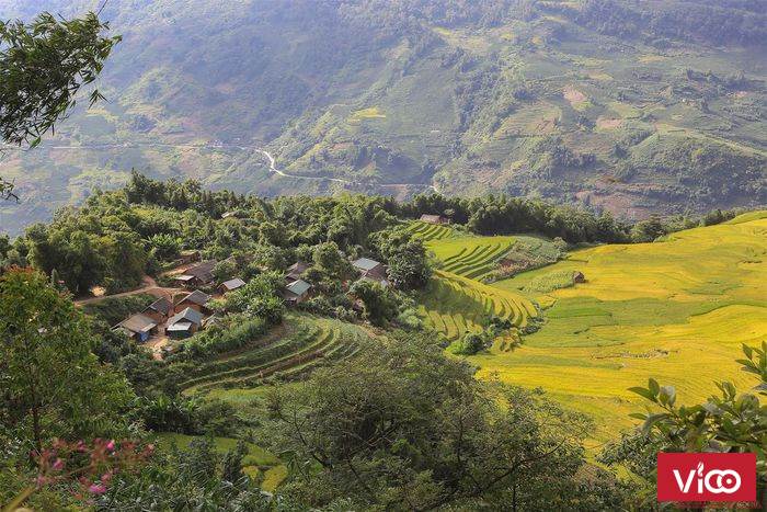 Mảnh đất giá rẻ nhất Sapa, gần bến xe mới, view thung lũng và nhiều homestay đẹp ở Sa Pả