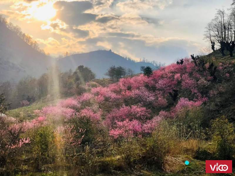 Cần bán rẻ mảnh đất rộng thôn Trung Chải, Y Tý, Bát Xát, Lào Cai