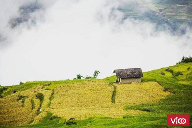 Bán nhanh mảnh đất gàn điểm săn mây, gần sân golf.giá rẻ