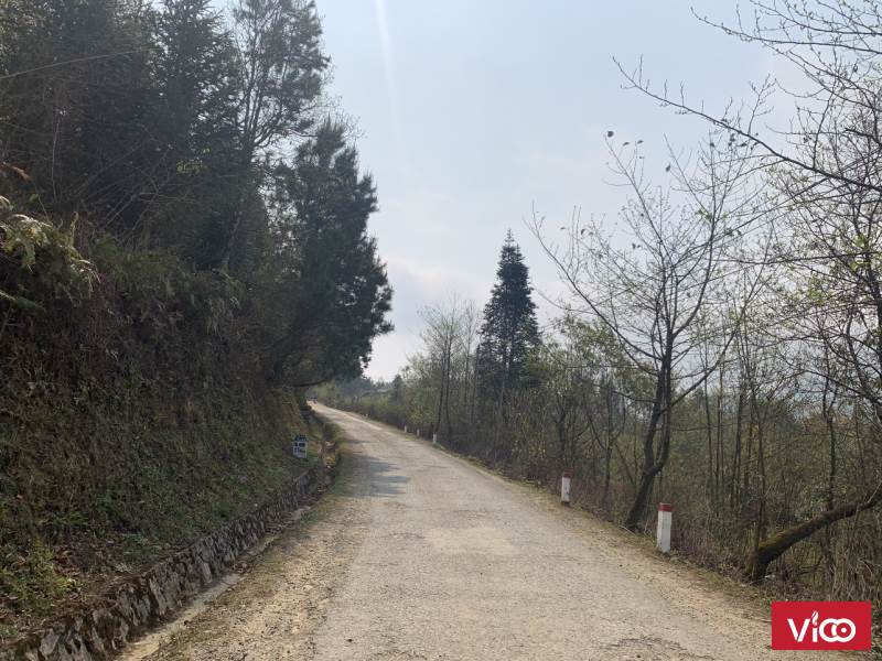 Đi trước đón đầu sử hữu ngay mảnh đất đẹp thôn Mò Phú Chải, Y Tý, Bát Xát, Lào Cai