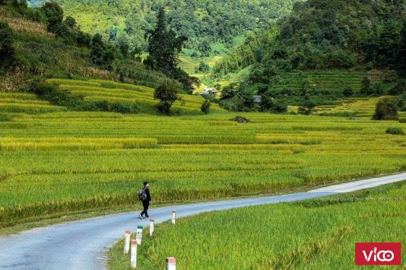 Đất Sapa vị trí kinh doanh cho xây khách sạn 3 sao, 5 sao ngay khu trung tâm