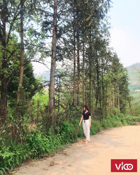 Cần bán cắt lỗ mùa dịch mảnh đất ngay trung tâm Sapa