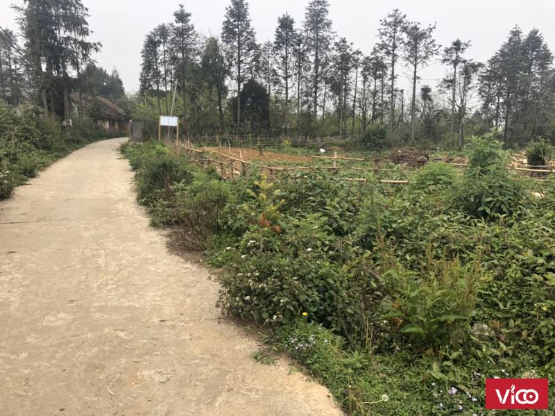 Cần bán cắt lỗ mùa dịch mảnh đất ngay trung tâm Sapa