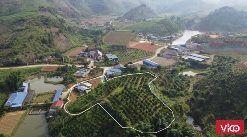 Bán đất Mộc Châu, đất Thị Trân Nông trường Mộc Châu, 6800m2, có bìa thổ cư, giá rẻ chỉ hơn 700k/m2.