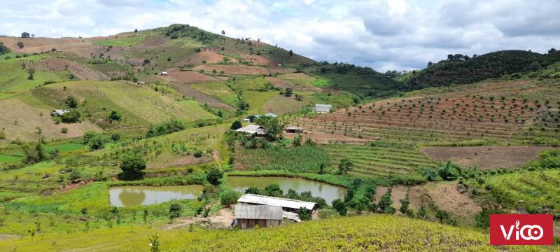 10ha có đủ vườn, ao, chuồng thích hợp cải tạo làm farm tại Mộc Châu