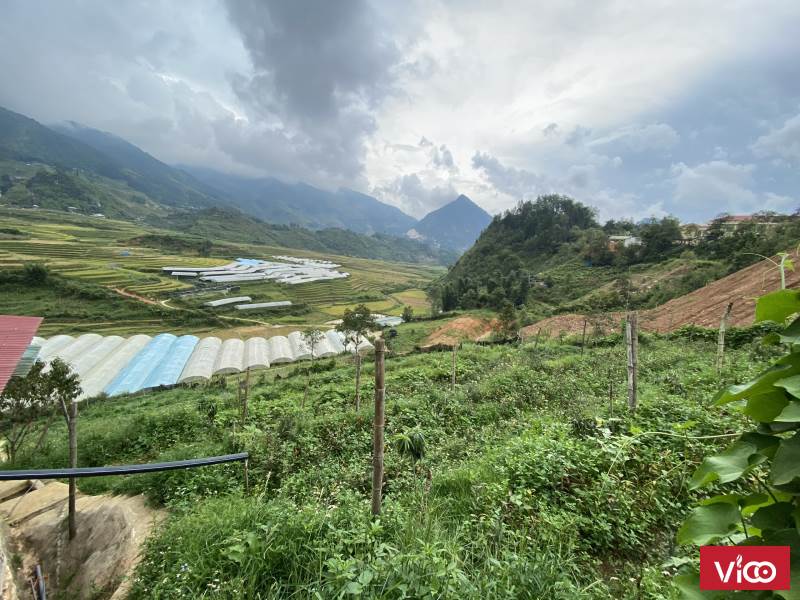 Mảnh đất vị trí đắc địa, gần Tu Viện cổ Sapa, view thung lũng ruộng bậc thang tuyệt đẹp
