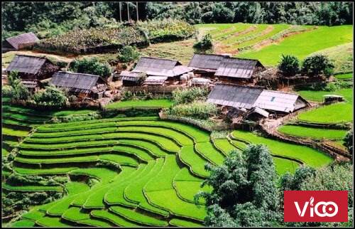 Mảnh đất vị trí đắc địa, gần Tu Viện cổ Sapa, view thung lũng ruộng bậc thang tuyệt đẹp