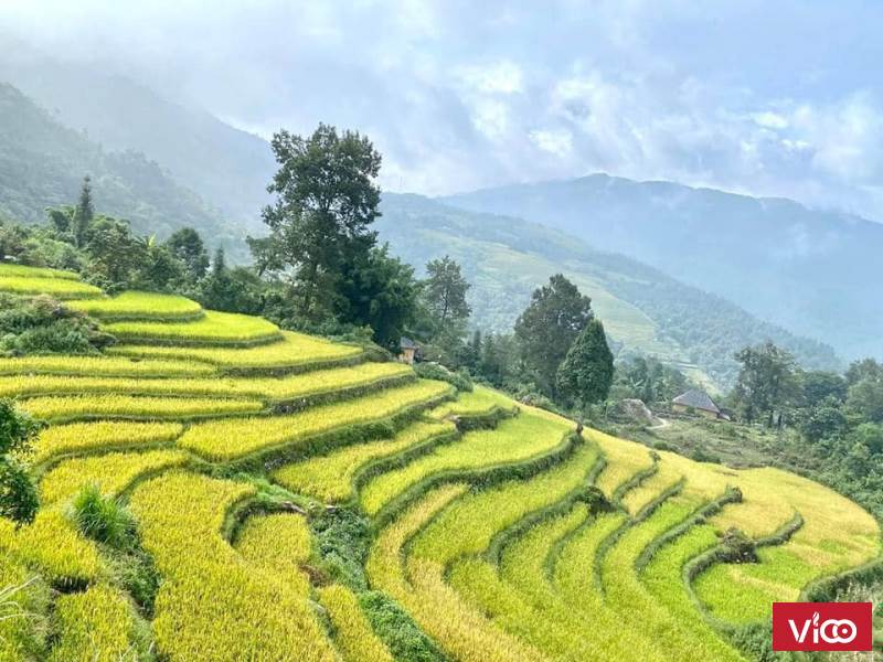 Bán mảnh đất thị xã sapa, thôn hang đá giá vô cùng rẻ