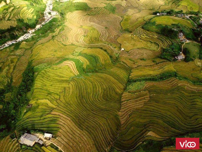 Bán mảnh đất thị xã sapa, thôn hang đá giá vô cùng rẻ
