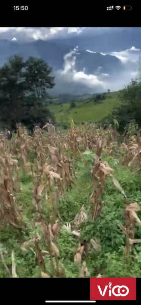 Bán mảnh tiềm năng tăng giá tốt, view siêu đẹp Y TýSapa2