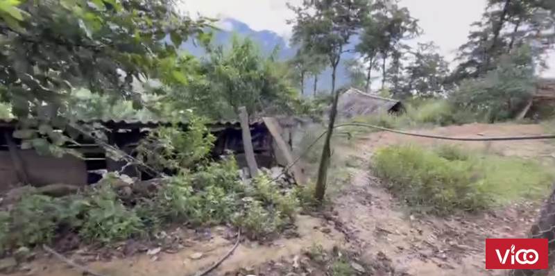 BÁN ĐẤT Y TÝ GIÁ RẺ, SIÊU PHẨM SĂN MÂY, VIEW BAO TRỌN Y TÝ, 1300M2, SỔ ĐỎ.