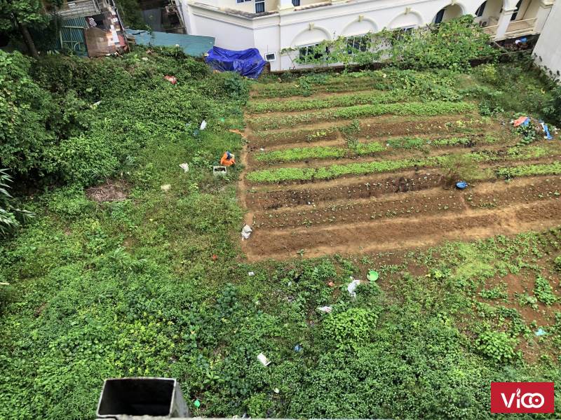 Mảnh đất siêu đẹp đường Thác Bạc, Sapa giá cắt lỗ mùa dịch