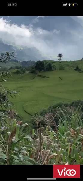 Bán mảnh đất săn mây đẹp nhất Y Tý SaPa 2 phù hợp xây khách sạn,resort