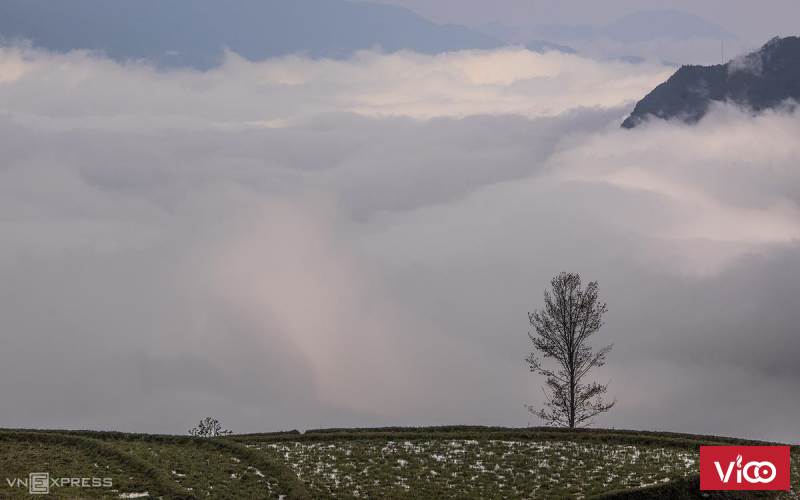 View biển mây, vị trí cực đẹp tại Y Tý Sapa2