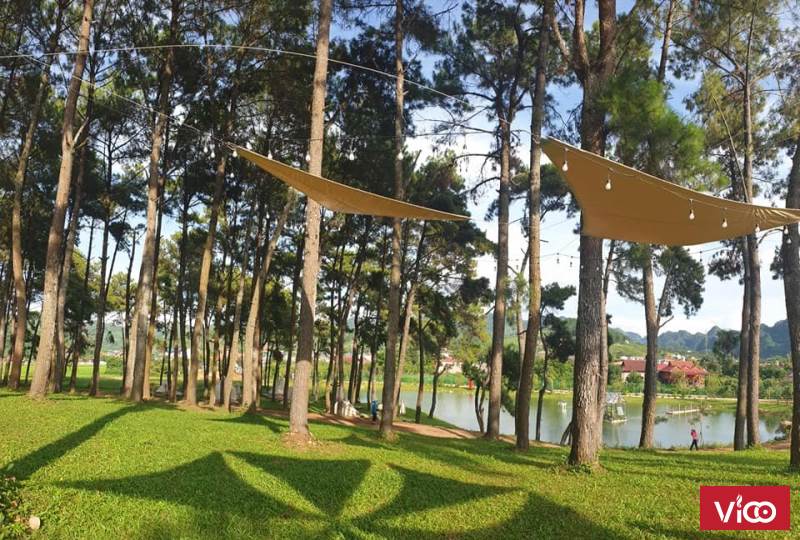 BÁN NHANH 482m2 mặt đường Điện Biên Phủ, Sapa đất nở hậu, tiềm năng tốt