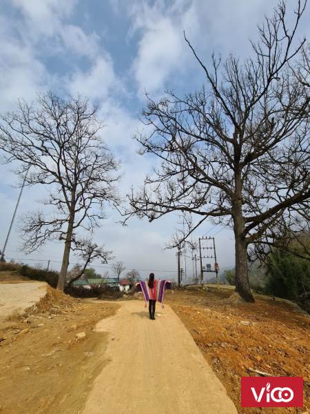 Mảnh đất thôn Mò Phú Chải, Y Tý gần các khu nghỉ dưỡng, đã có sẵn trích lục