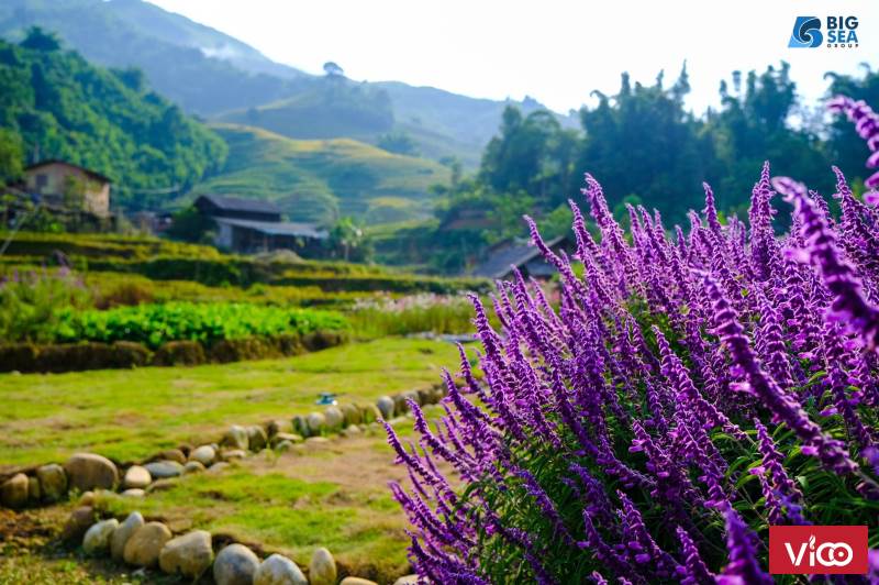 Bán mảnh đất ở bản cát cát 128m2 full thổ cư vô cùng đẹp giá đầu tư